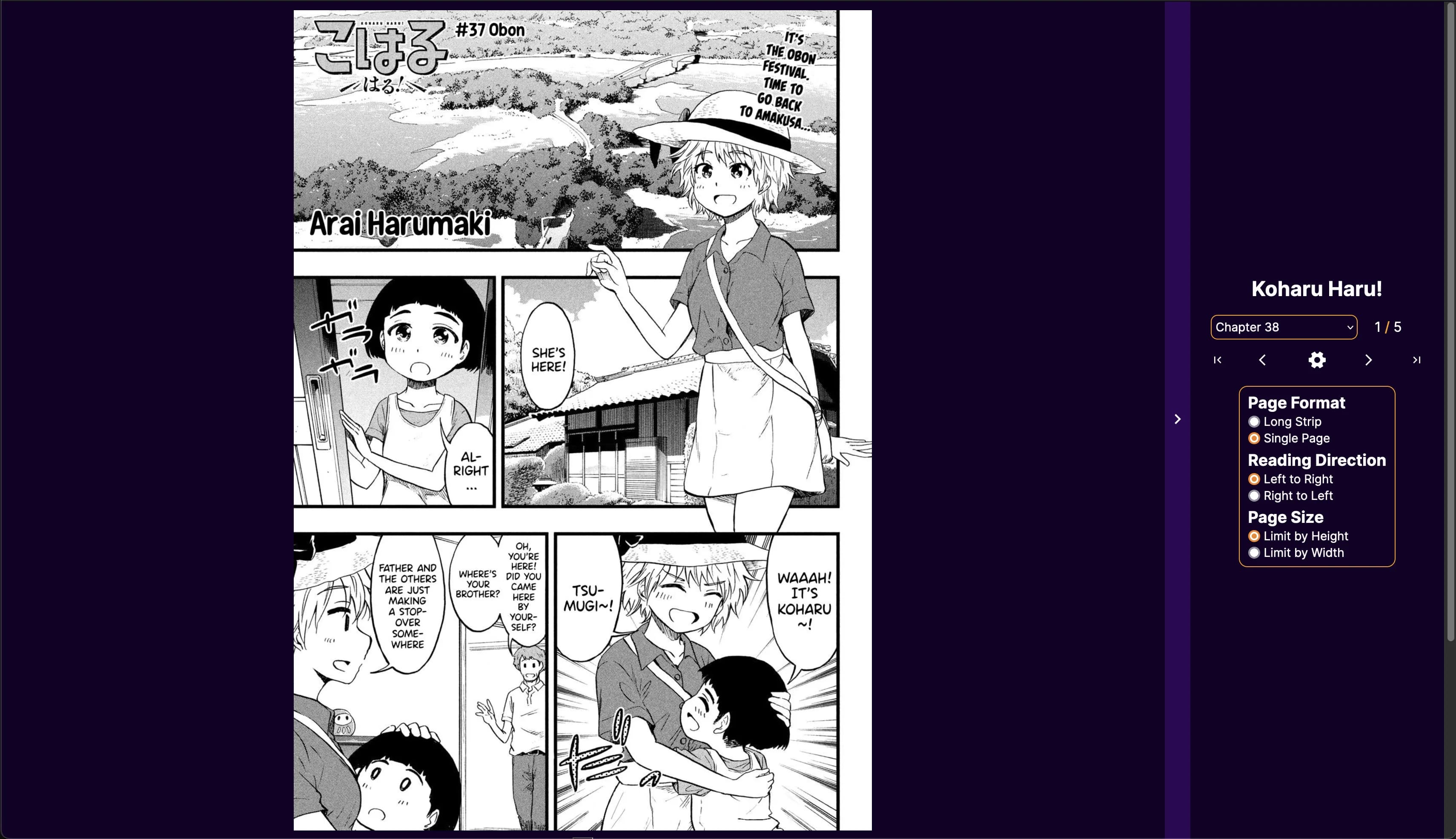 A screen capture of the chapter reader.